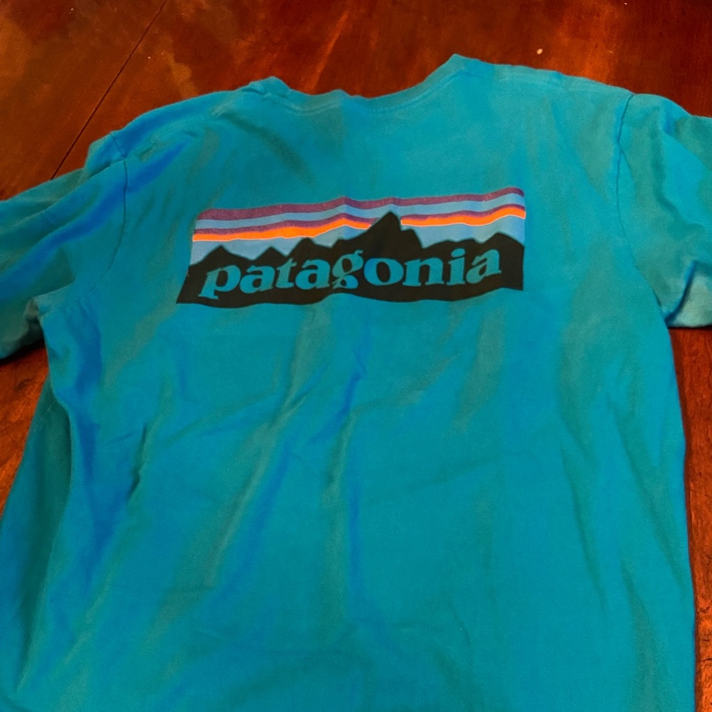 Patagonia T shirt